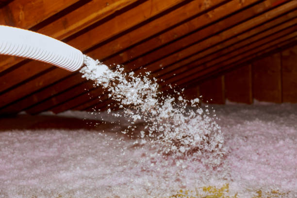 Best Crawl Space Insulation  in Haslet, TX