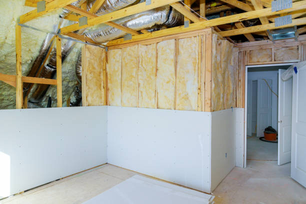 Best Insulation Repair Services  in Haslet, TX