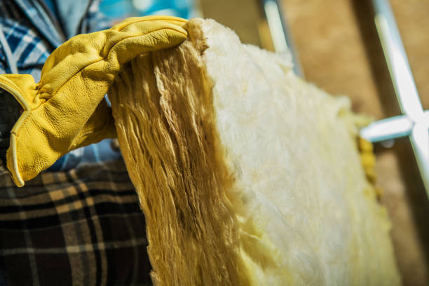 Best Wall Insulation Contractor  in Haslet, TX
