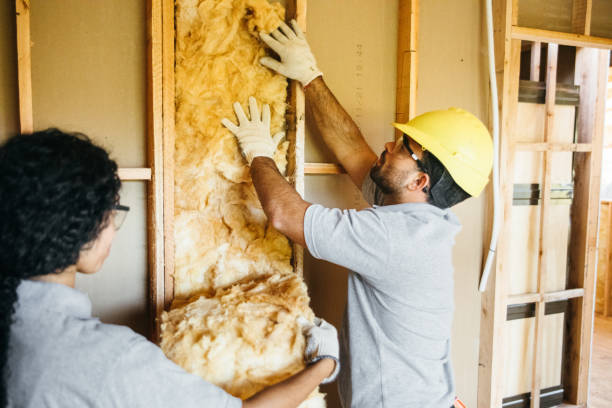 Best Garage Insulation Installation  in Haslet, TX