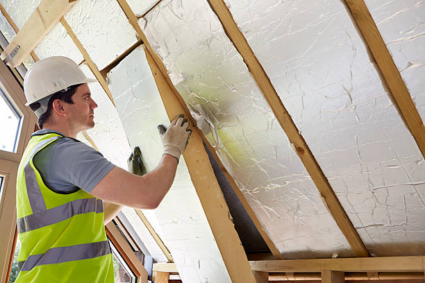 Best Insulation Contractor Near Me  in Haslet, TX