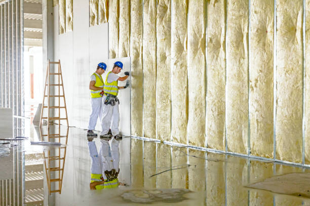 Best Insulation Inspection Services  in Haslet, TX